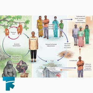 ویروس ابولا و راه های انتقال 
